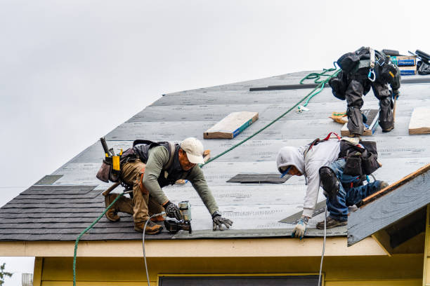 Professional Gutter Installation technician working in Royalton, IL